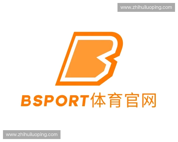 解读BSport体育官网